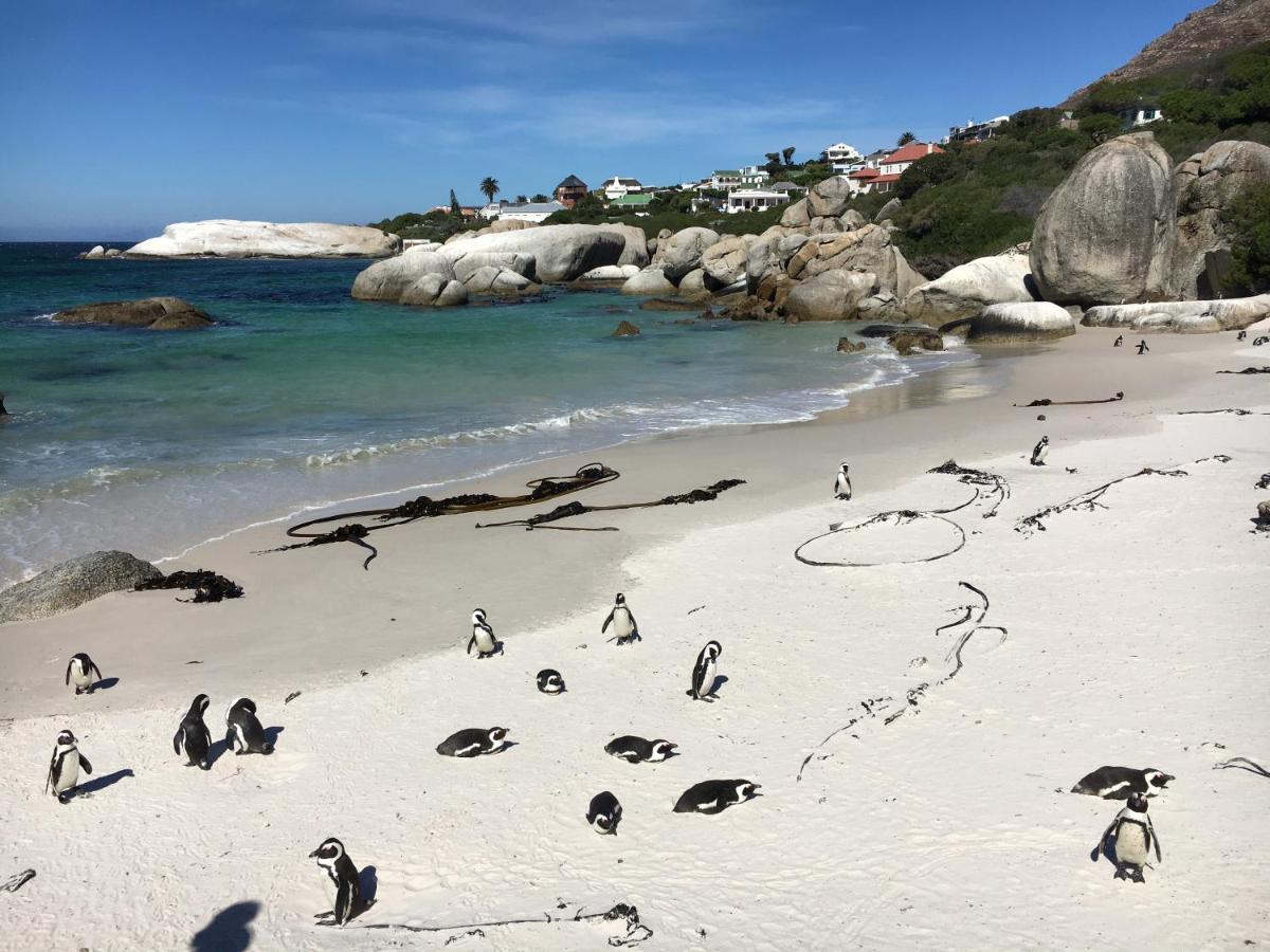 Seaforth Suite Simonʼs Town Dış mekan fotoğraf